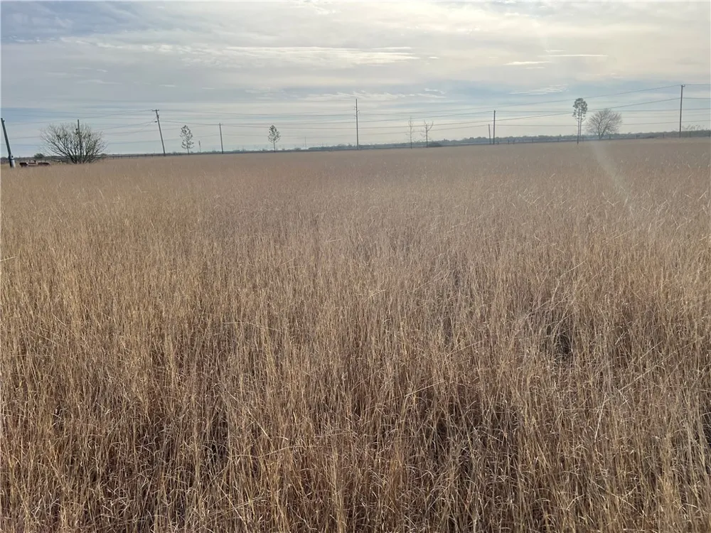 8051 Fm 1068 Mathis, TX 78368
