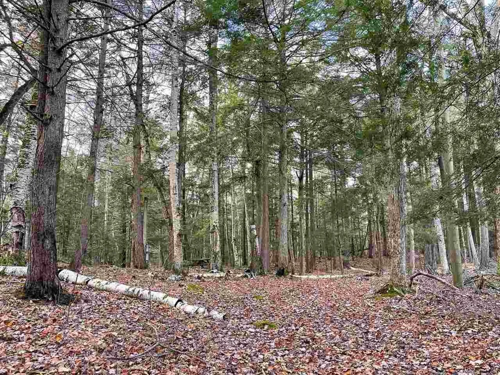 East Side Drive Peaine Township, MI 49782