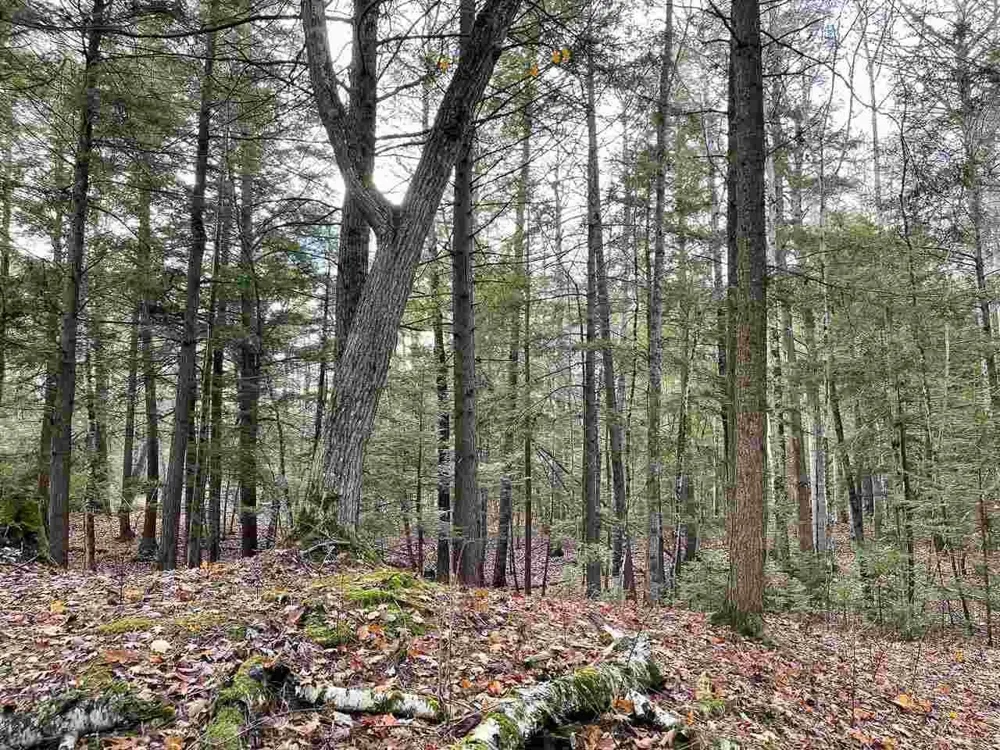 East Side Drive Peaine Township, MI 49782