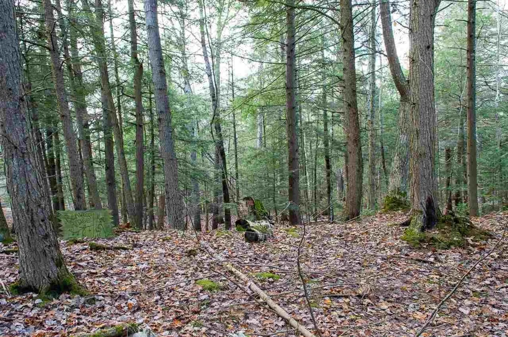 East Side Drive Peaine Township, MI 49782