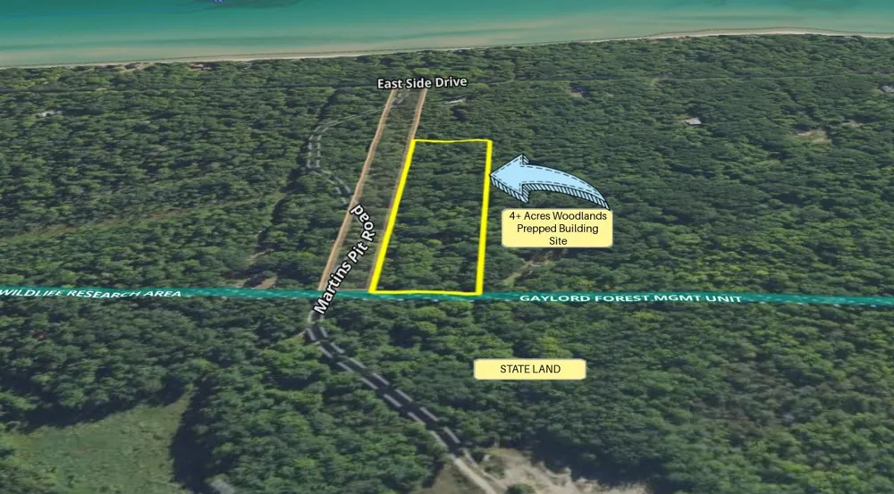 East Side Drive Peaine Township, MI 49782