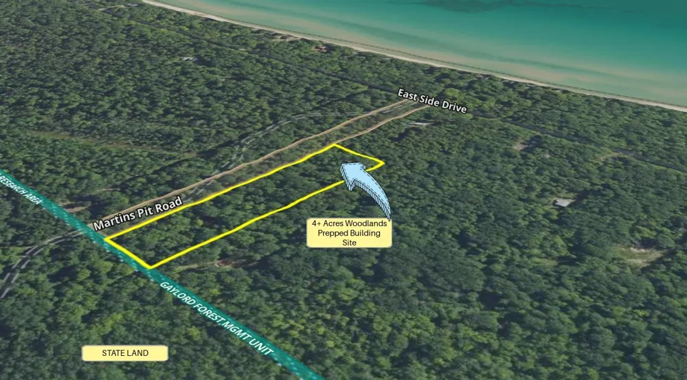 East Side Drive Peaine Township, MI 49782