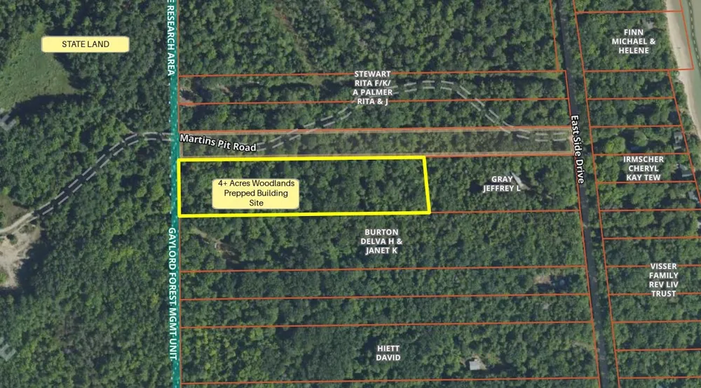East Side Drive Peaine Township, MI 49782