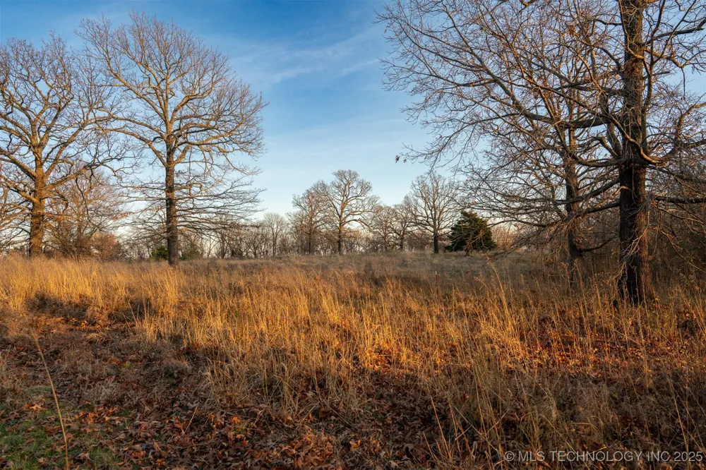471 S 437 Locust Grove, OK 74352