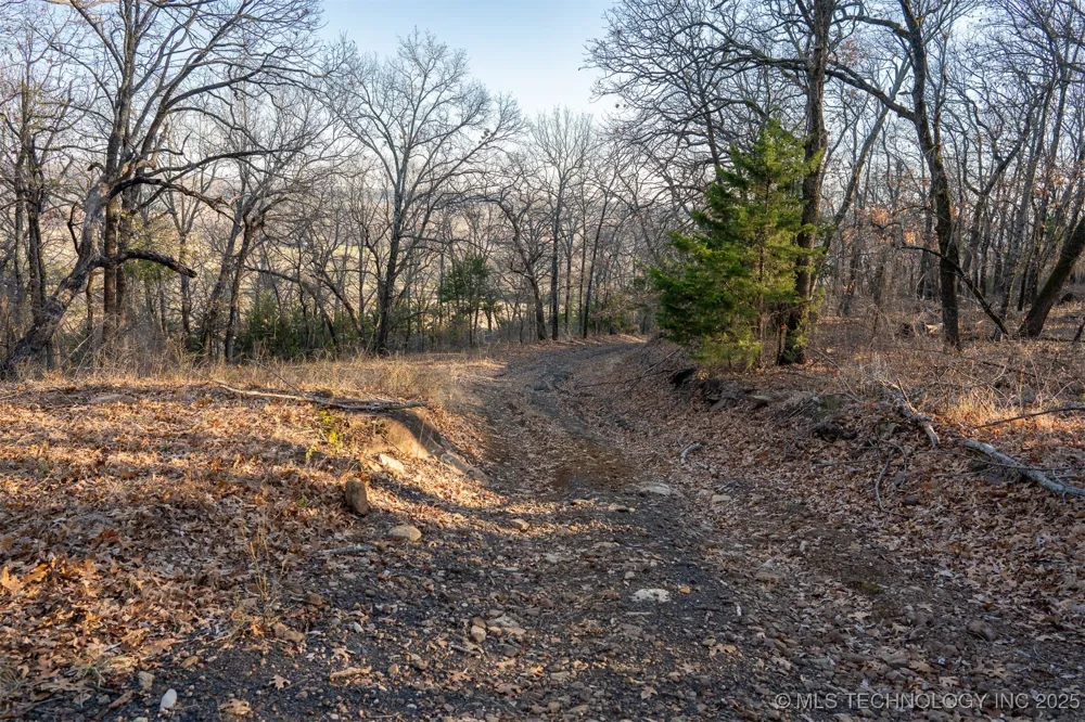 471 S 437 Locust Grove, OK 74352