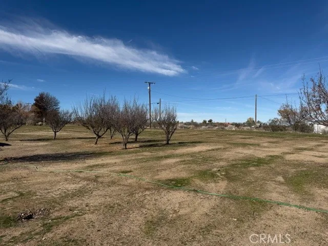 4679 Gorgonio Phelan, CA 92371