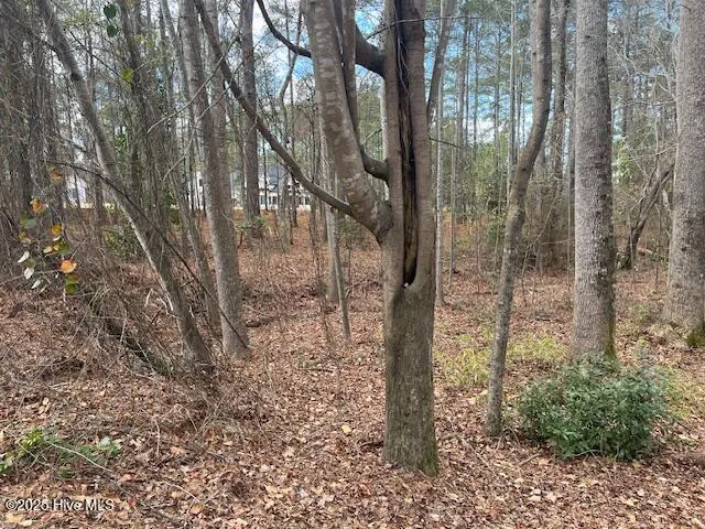 212 Meyer Farm Drive Pinehurst, NC 28374