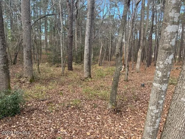212 Meyer Farm Drive Pinehurst, NC 28374