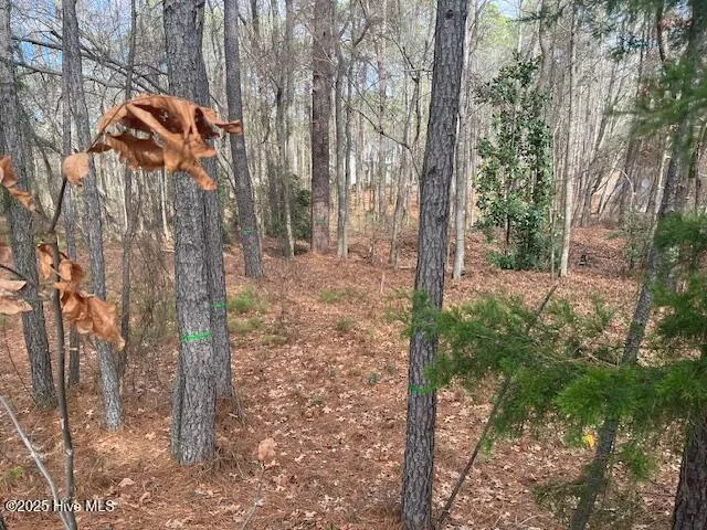 212 Meyer Farm Drive Pinehurst, NC 28374