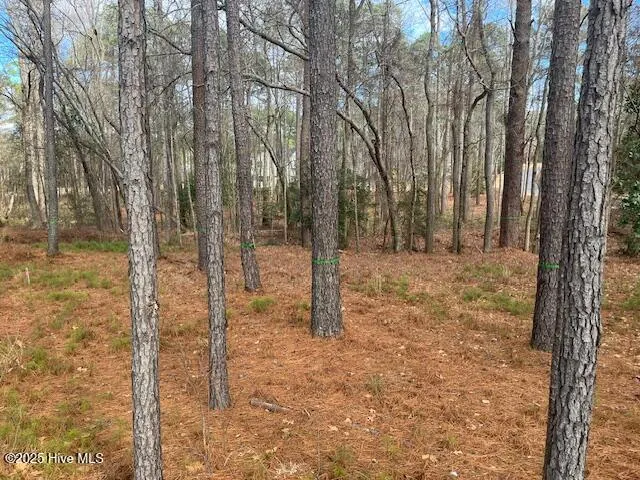 212 Meyer Farm Drive Pinehurst, NC 28374
