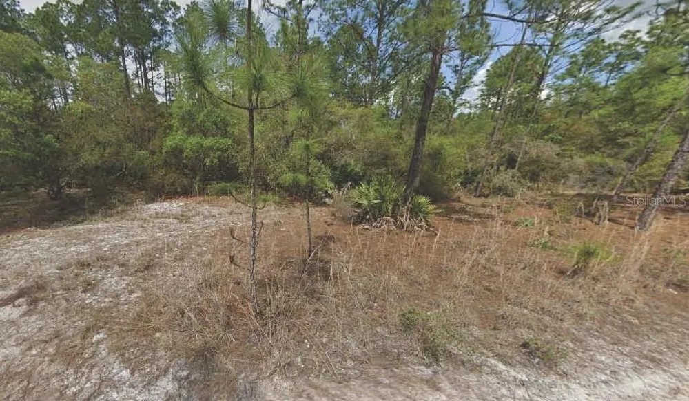 158 FERNCREEK DRIVE Georgetown, FL 32139