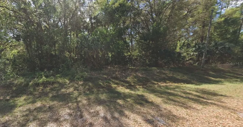 324 E EDGEWOOD DRIVE Georgetown, FL 32139