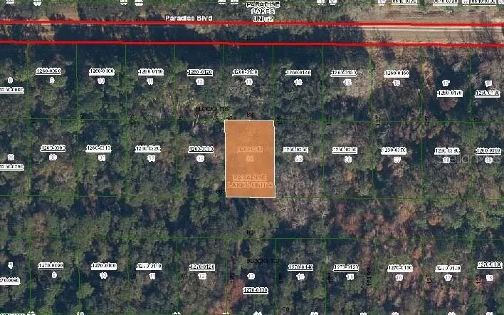 324 E EDGEWOOD DRIVE Georgetown, FL 32139