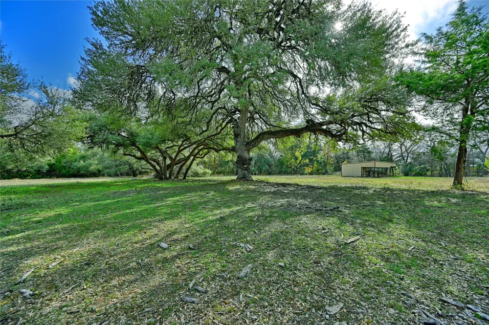 505 Live Oak Street Round Top, TX 78954