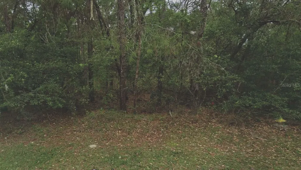 105 RHODE ISLAND AVENUE Satsuma, FL 32189