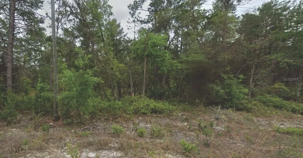 120 NEW YORK AVENUE Satsuma, FL 32189