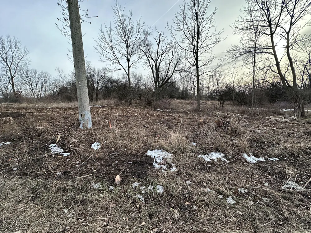 545 W Clark Road Ypsilanti, MI 48198