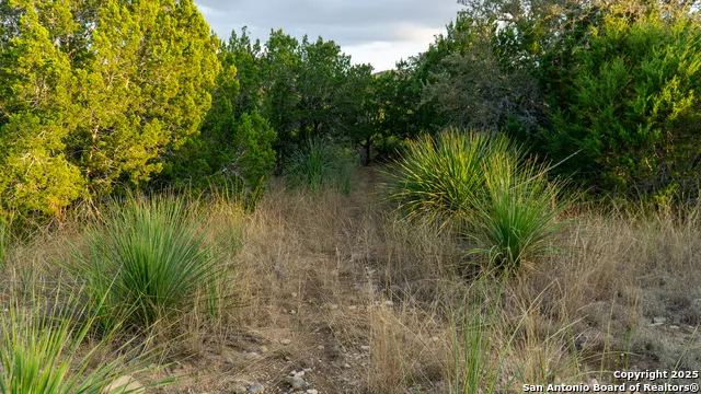 1593 County Road 354 Utopia, TX 78884