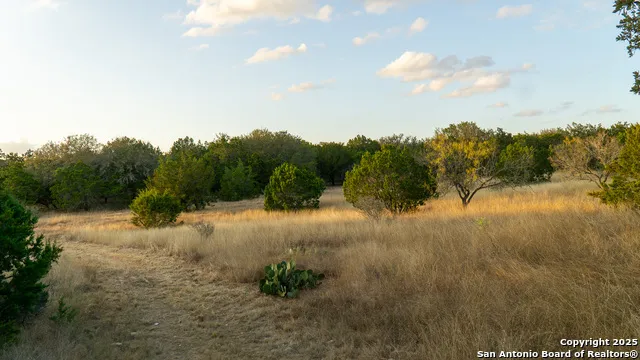 1593 County Road 354 Utopia, TX 78884