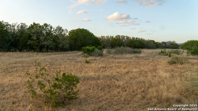 1593 County Road 354 Utopia, TX 78884