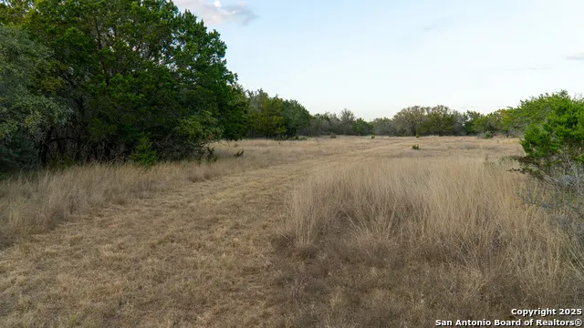 1593 County Road 354 Utopia, TX 78884