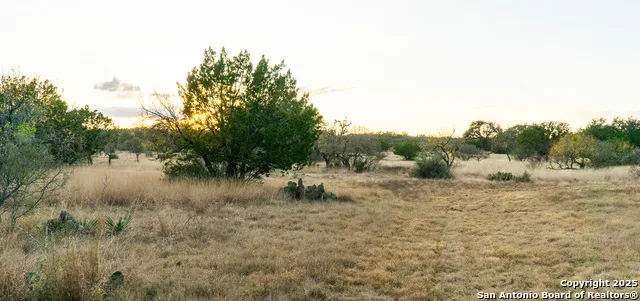 1593 County Road 354 Utopia, TX 78884