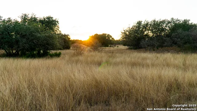 1593 County Road 354 Utopia, TX 78884