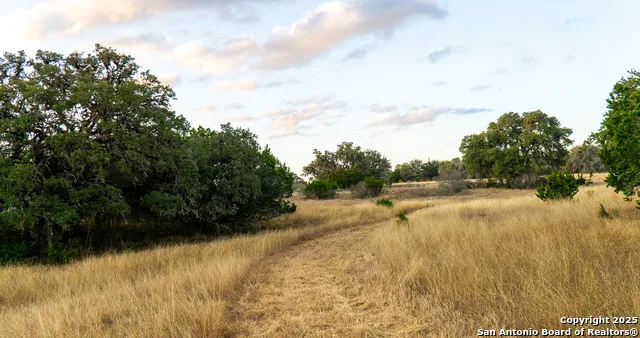 1593 County Road 354 Utopia, TX 78884