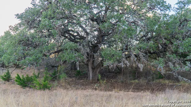 1593 County Road 354 Utopia, TX 78884