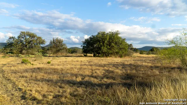 1593 County Road 354 Utopia, TX 78884