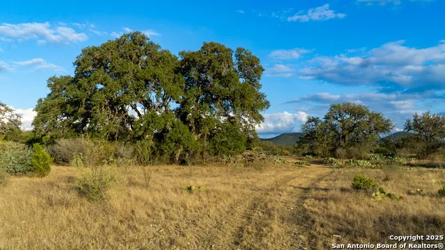 1593 County Road 354 Utopia, TX 78884
