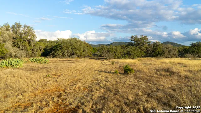 1593 County Road 354 Utopia, TX 78884