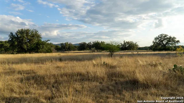 1593 County Road 354 Utopia, TX 78884