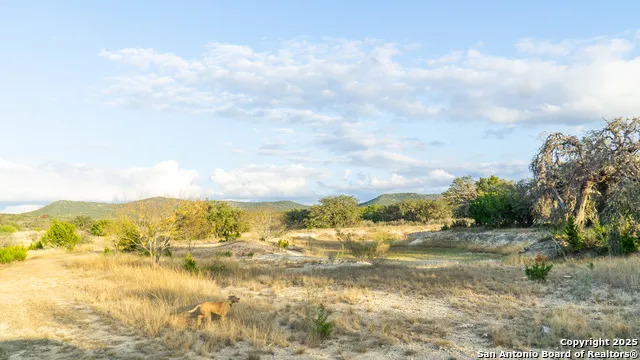 1593 County Road 354 Utopia, TX 78884