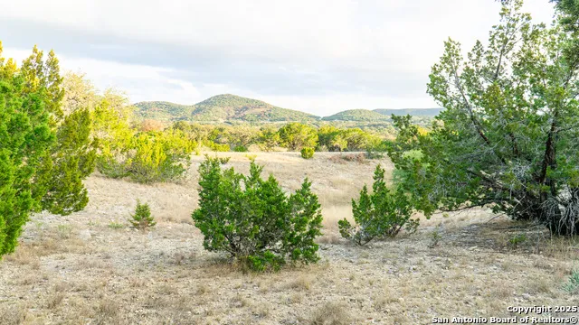 1593 County Road 354 Utopia, TX 78884