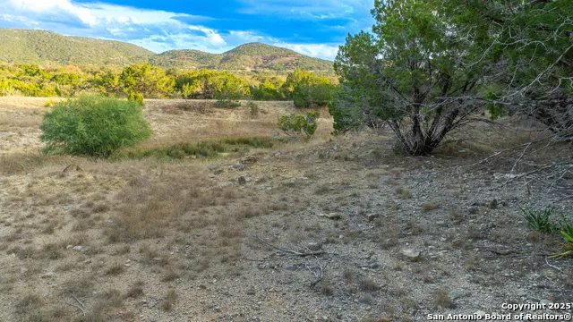 1593 County Road 354 Utopia, TX 78884