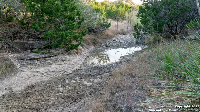 1593 County Road 354 Utopia, TX 78884