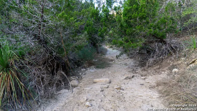 1593 County Road 354 Utopia, TX 78884