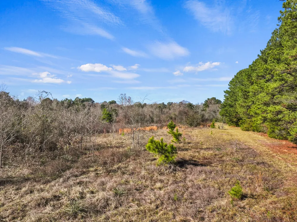 County Road 2865 Hughes Springs, TX 75656