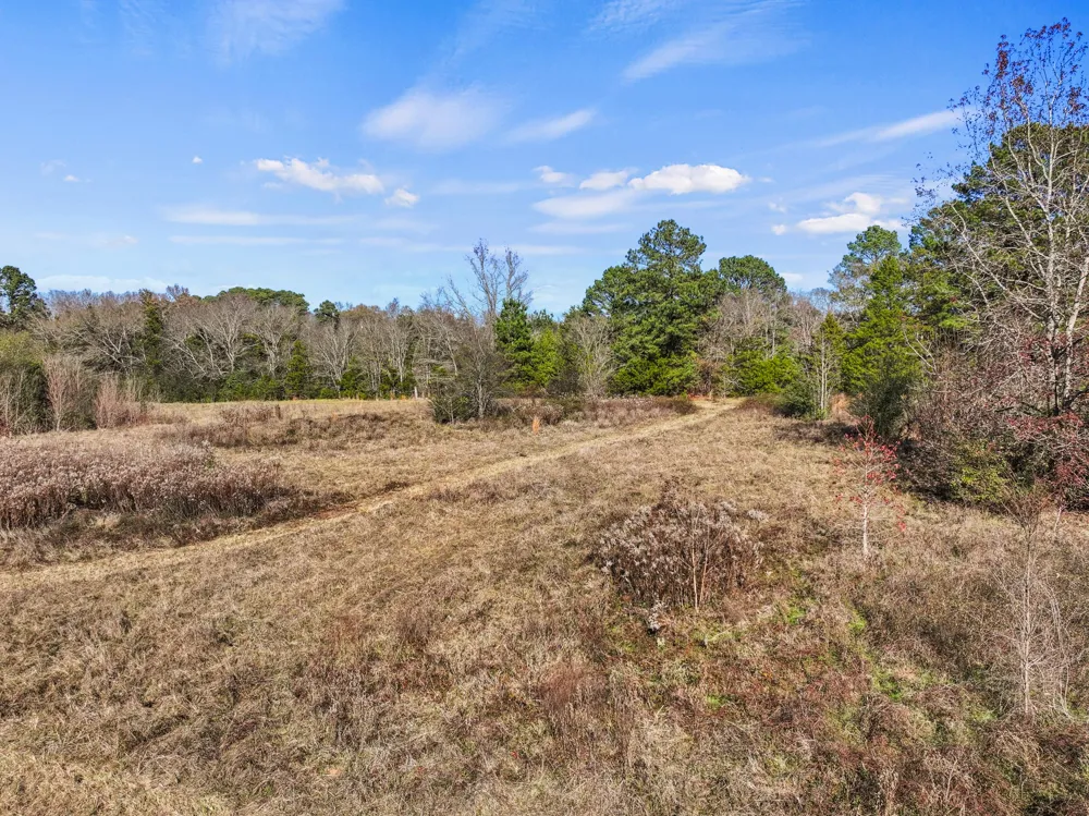 County Road 2865 Hughes Springs, TX 75656