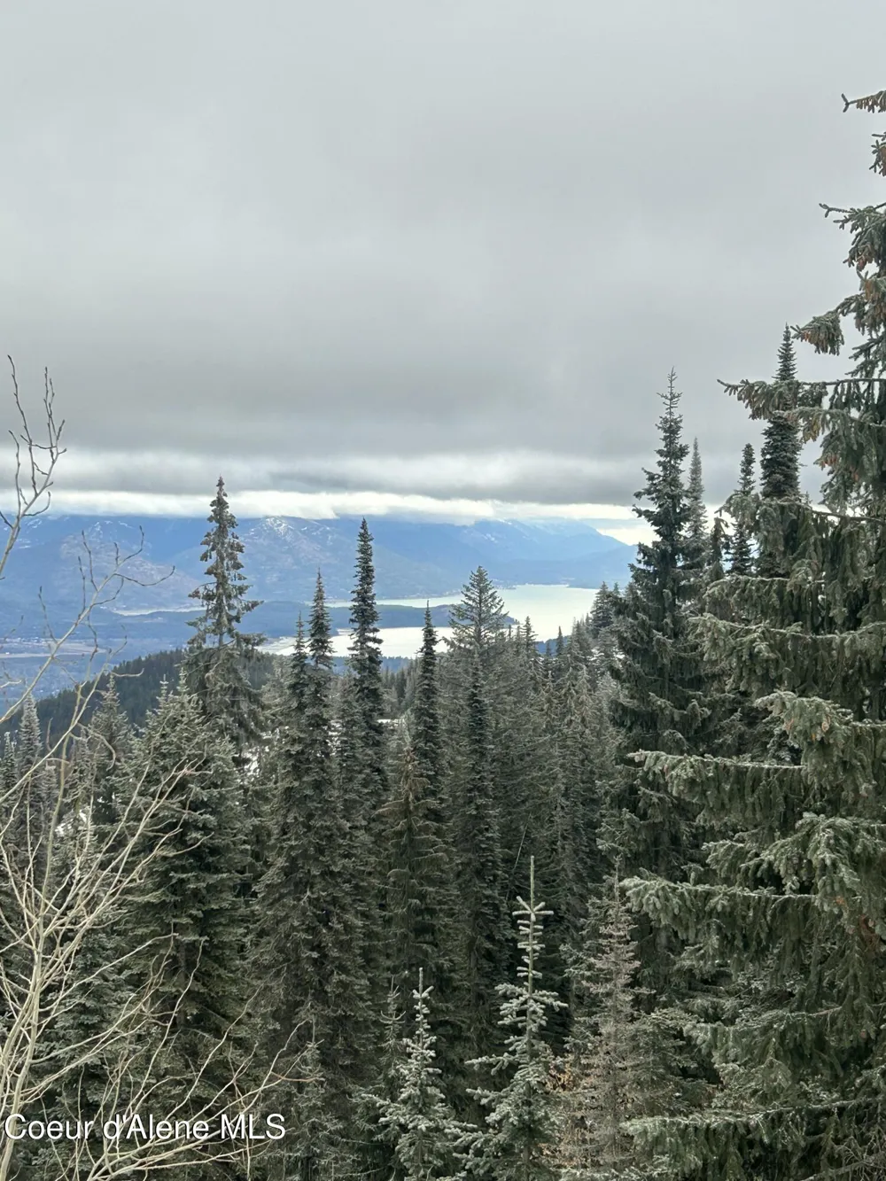 L3 B2 Tall Timber Road Sandpoint, ID 83864