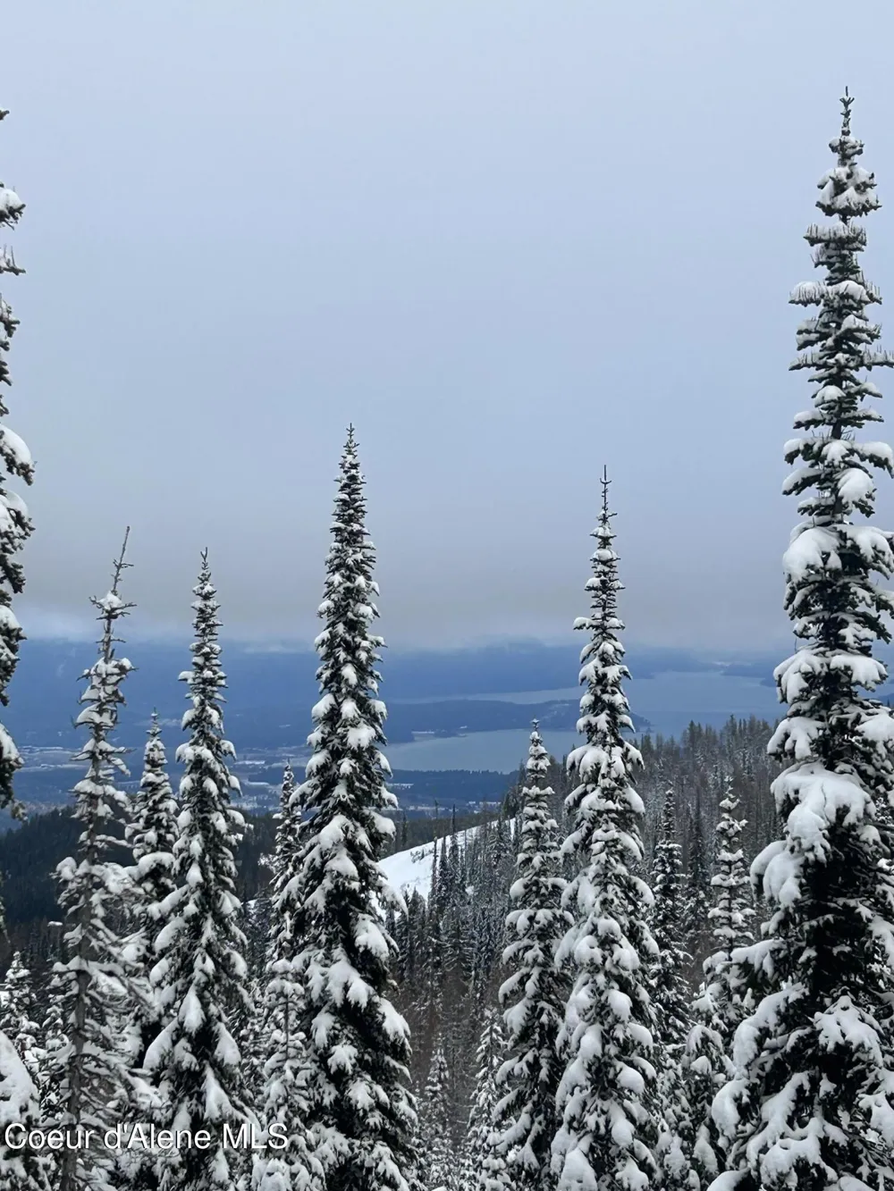 L3 B2 Tall Timber Road Sandpoint, ID 83864