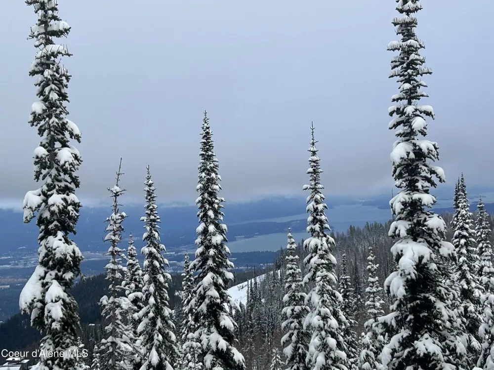 L3 B2 Tall Timber Road Sandpoint, ID 83864