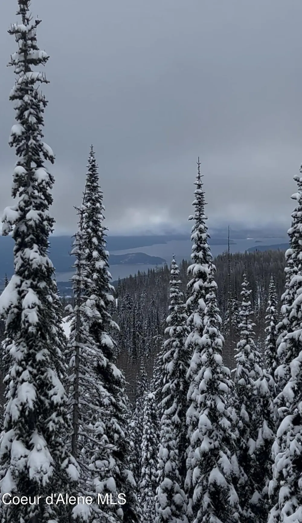 L3 B2 Tall Timber Road Sandpoint, ID 83864