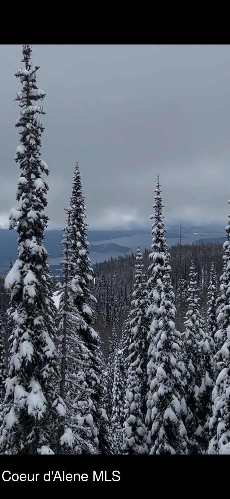 L3 B2 Tall Timber Road Sandpoint, ID 83864