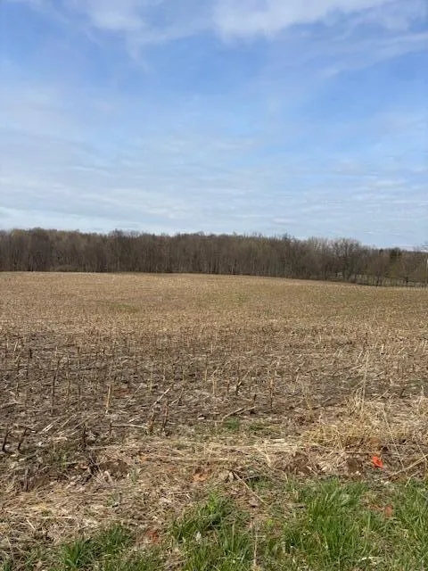 Warren Woods Road #14.71