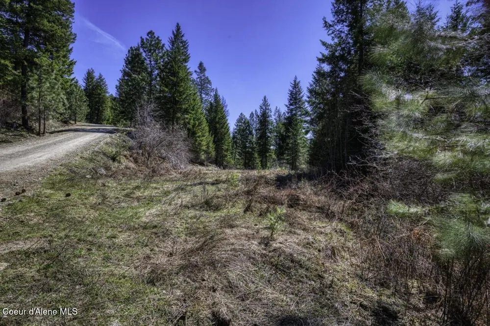 NNA Mays Rd Sagle, ID 83860