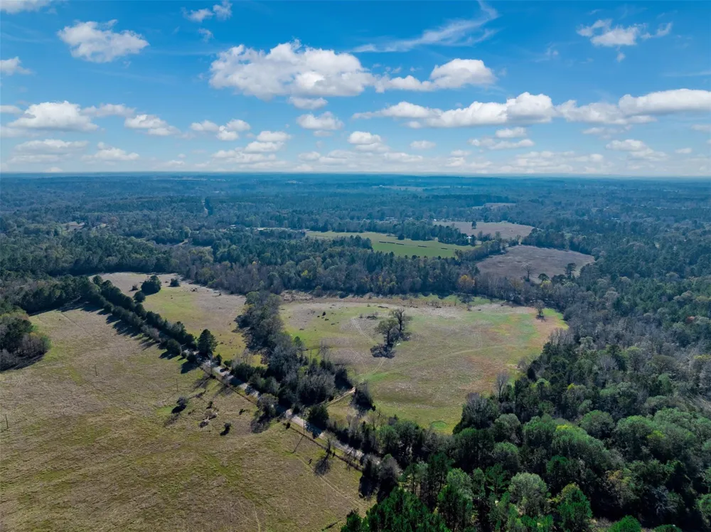 An County Road 153 Palestine, TX 75801