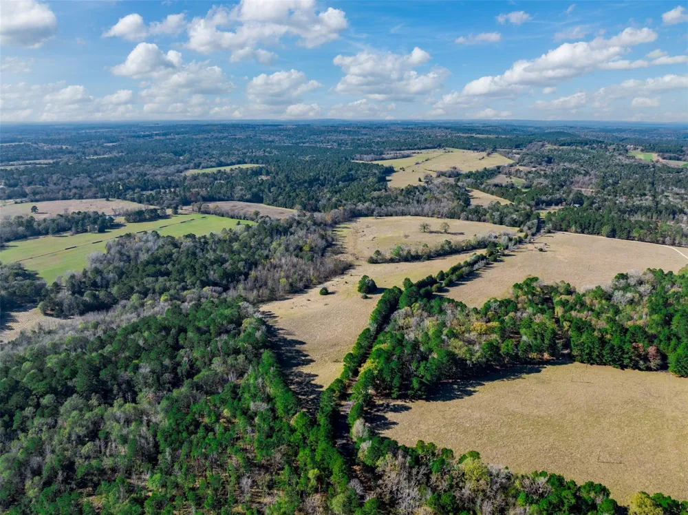 An County Road 153 Palestine, TX 75801