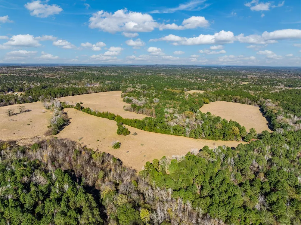 An County Road 153 Palestine, TX 75801